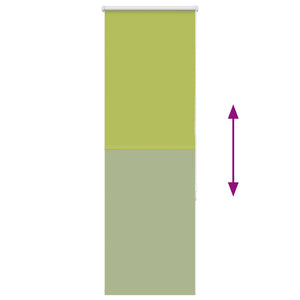 Grünes Verdunkelungsrollo 55x175 cm