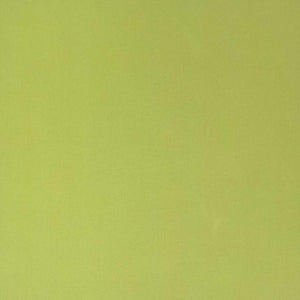 Grünes Verdunkelungsrollo 125x230cm