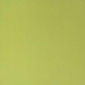 Grünes Verdunkelungsrollo 135x230cm