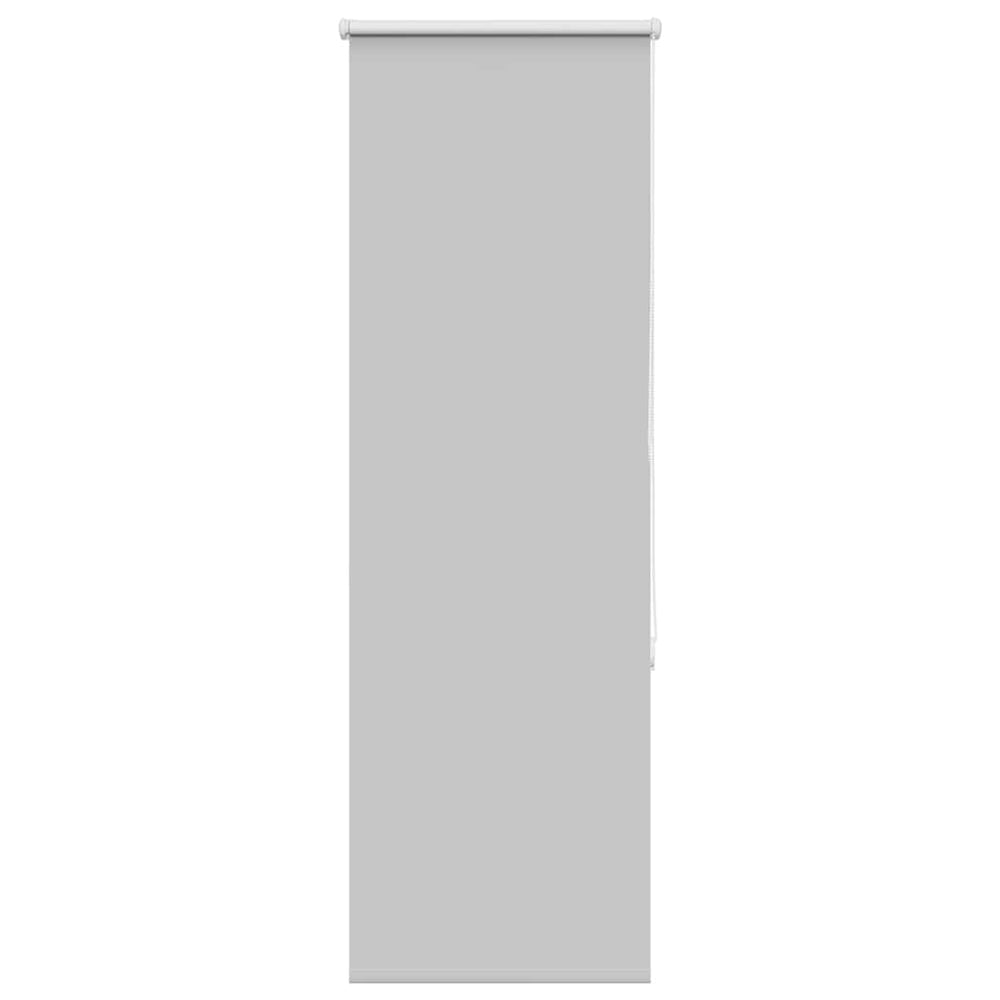 vidaXL Blackout Roller Blind Light Gray 60x130 cm Fabric Width 55.7 cm