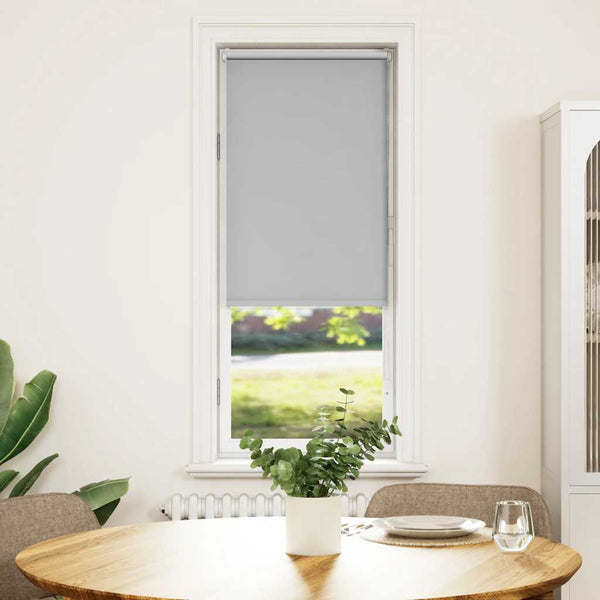 Verdunkelungsrollo Hellgrau 60x130 cm