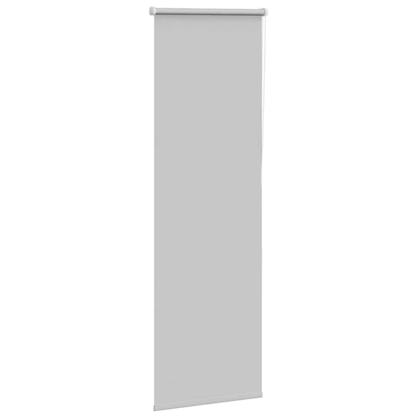 Verdunkelungsrollo Hellgrau 50x150 cm