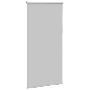 Verdunkelungsrollo Hellgrau 75x150 cm