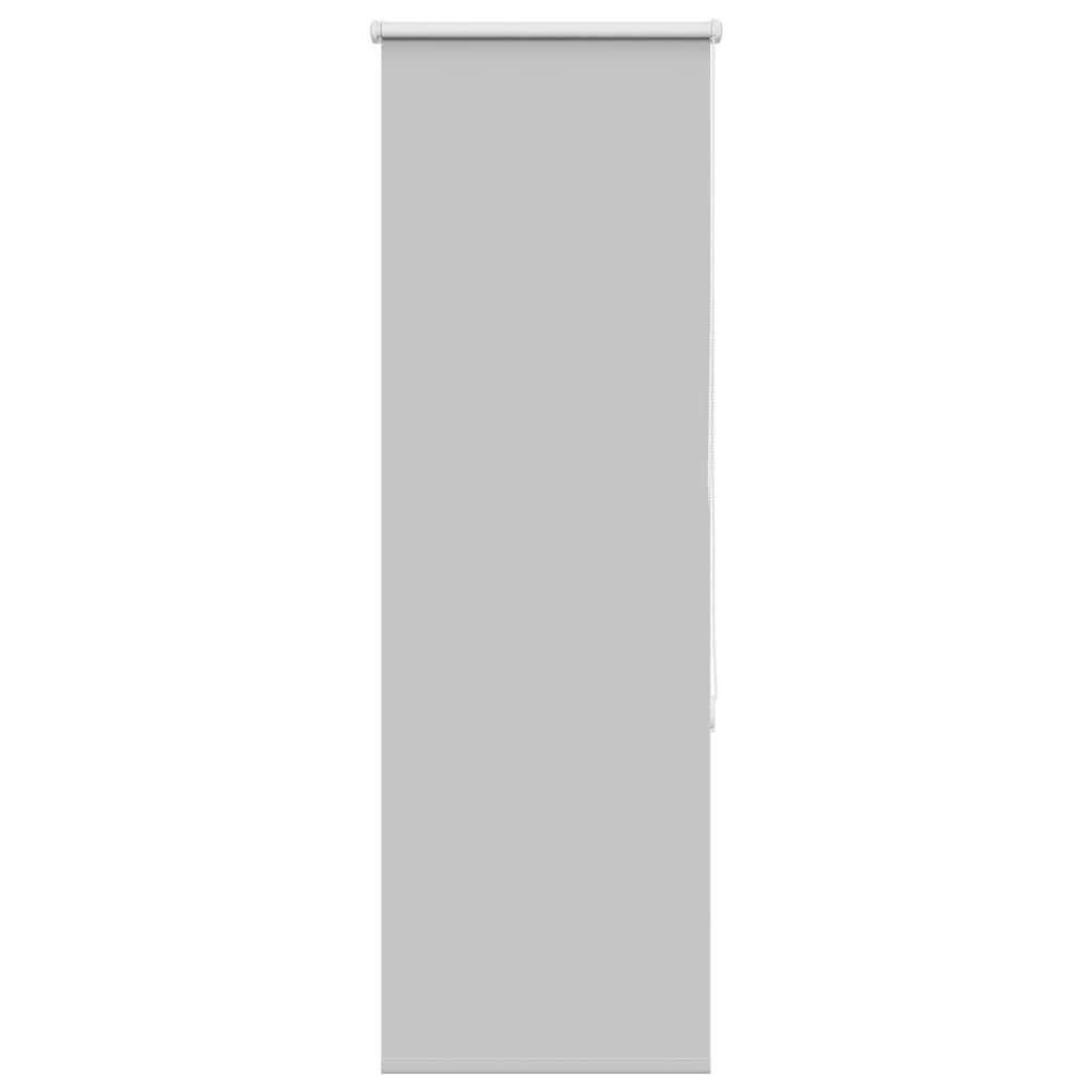 Verdunkelungsrollo Hellgrau 50x175 cm