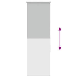 Verdunkelungsrollo Hellgrau 60x175 cm
