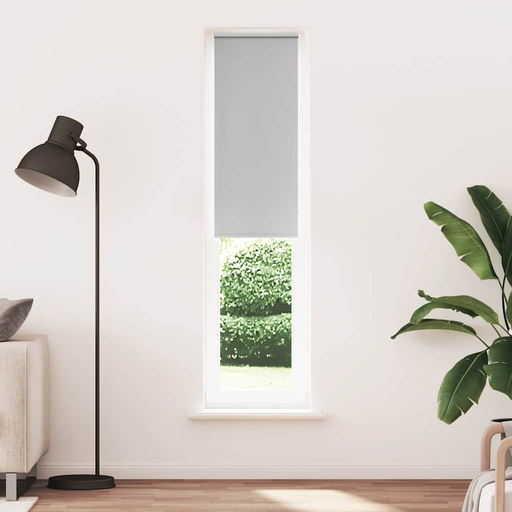 Verdunkelungsrollo Hellgrau 55x210 cm