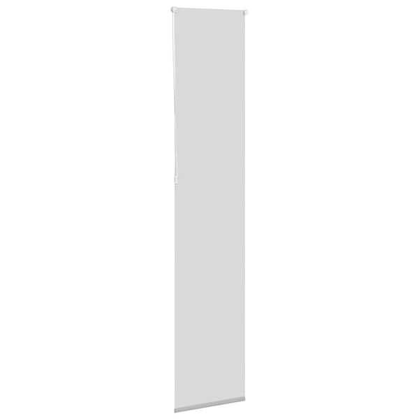 Verdunkelungsrollo Hellgrau 55x210 cm