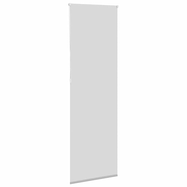 Verdunkelungsrollo Hellgrau 70x210 cm