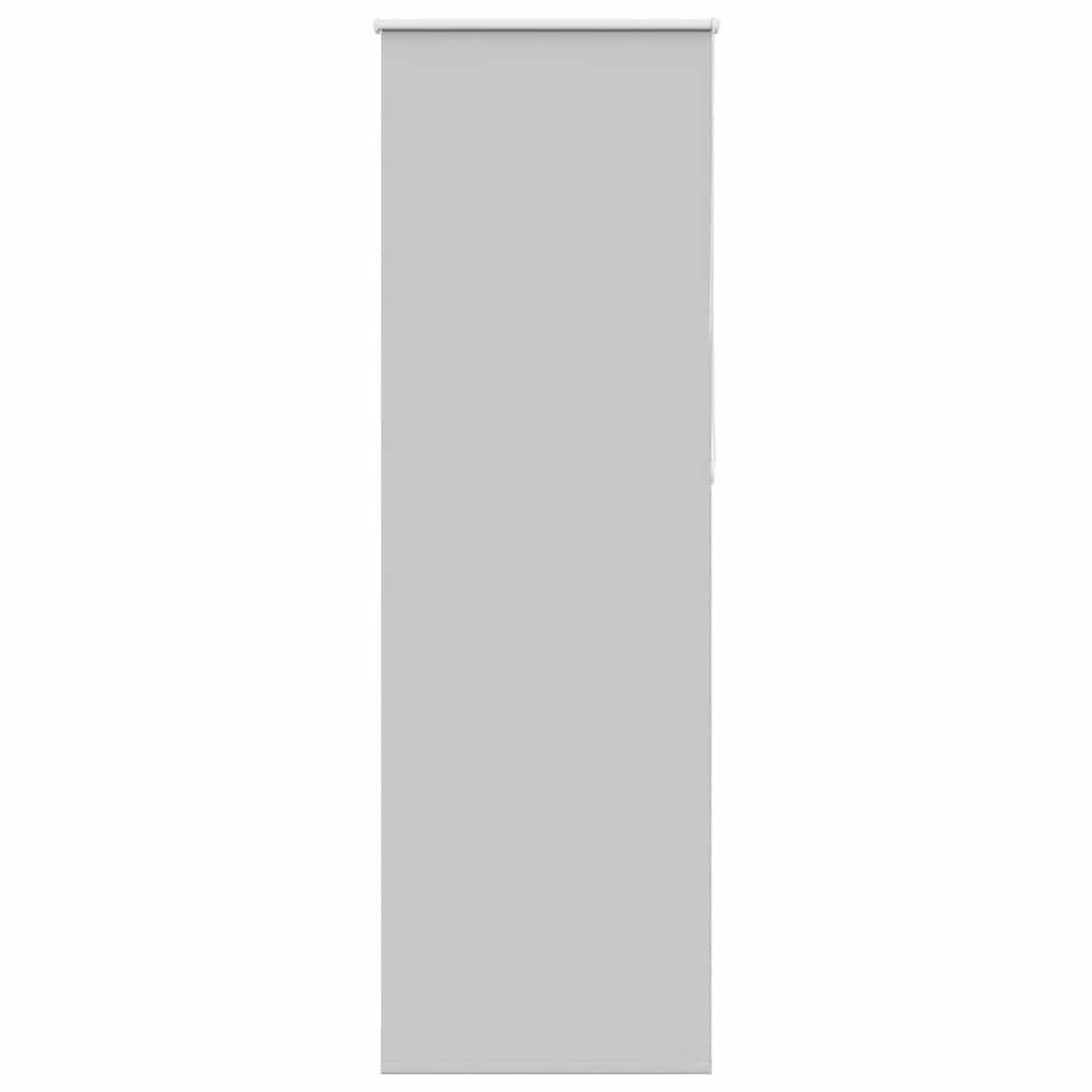 Verdunkelungsrollo Hellgrau 75x210 cm