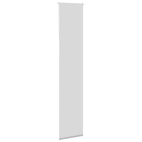 Verdunkelungsrollo Hellgrau 40x230 cm