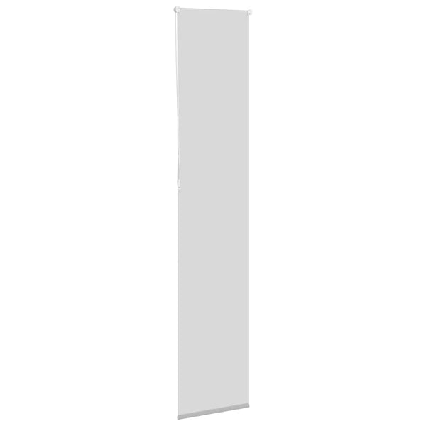 Verdunkelungsrollo Hellgrau 50x230 cm