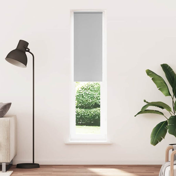 Verdunkelungsrollo Hellgrau 55x230 cm