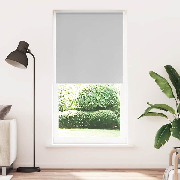Verdunkelungsrollo Hellgrau 95x230 cm