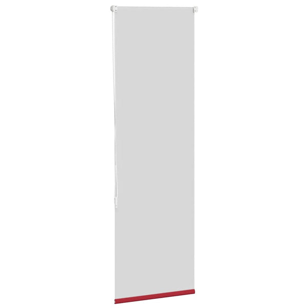 Verdunkelungsrollo Rot 60x150 cm