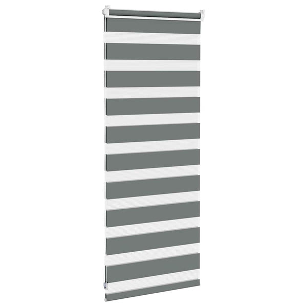 Doppelrollo Dunkelgrau 60x100 cm
