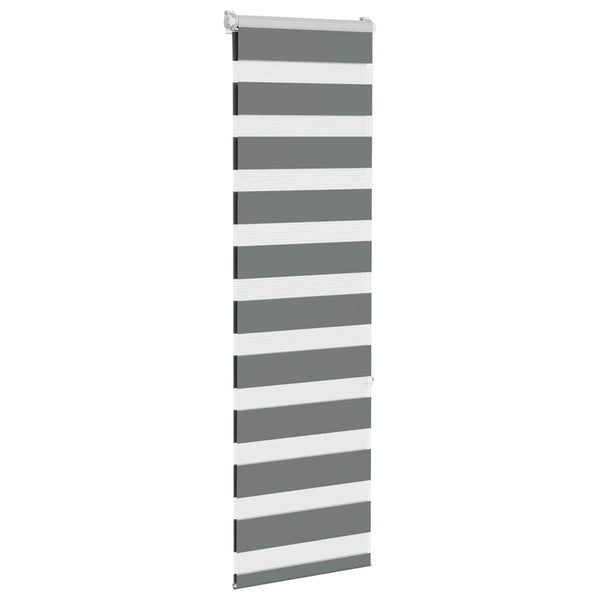 Doppelrollo Dunkelgrau 40x150 cm