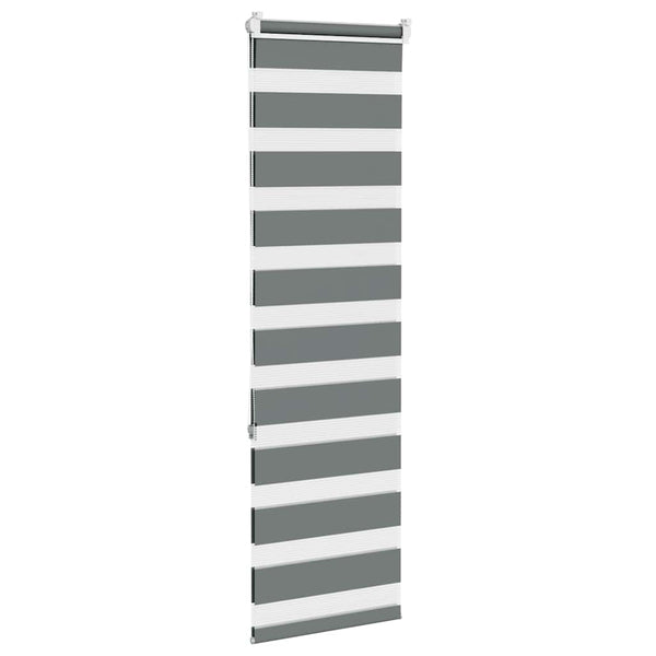 Doppelrollo Dunkelgrau 40x150 cm