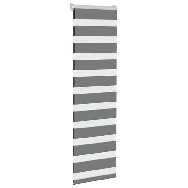 Doppelrollo Dunkelgrau 50x150 cm