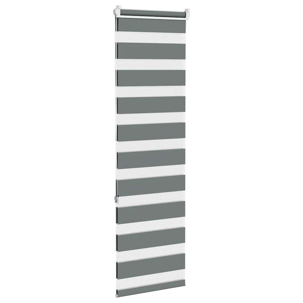 Doppelrollo Dunkelgrau 50x150 cm