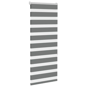 Doppelrollo Dunkelgrau 55x150 cm