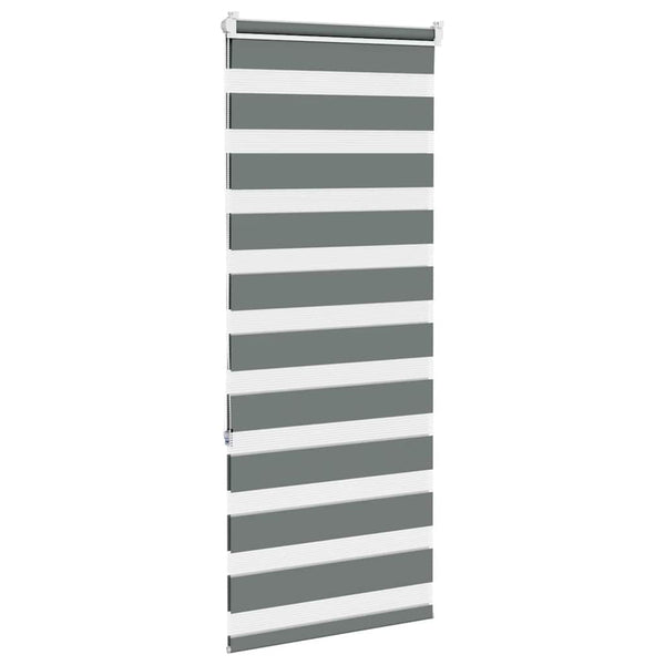 Doppelrollo Dunkelgrau 55x150 cm