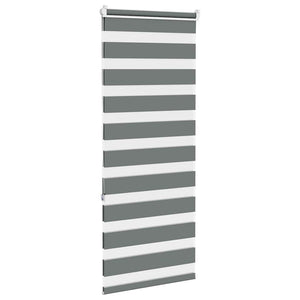 Doppelrollo Dunkelgrau 60x150 cm