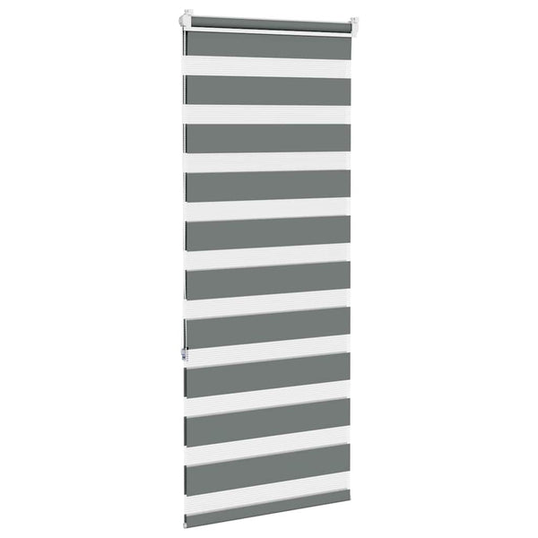 Doppelrollo Dunkelgrau 60x150 cm
