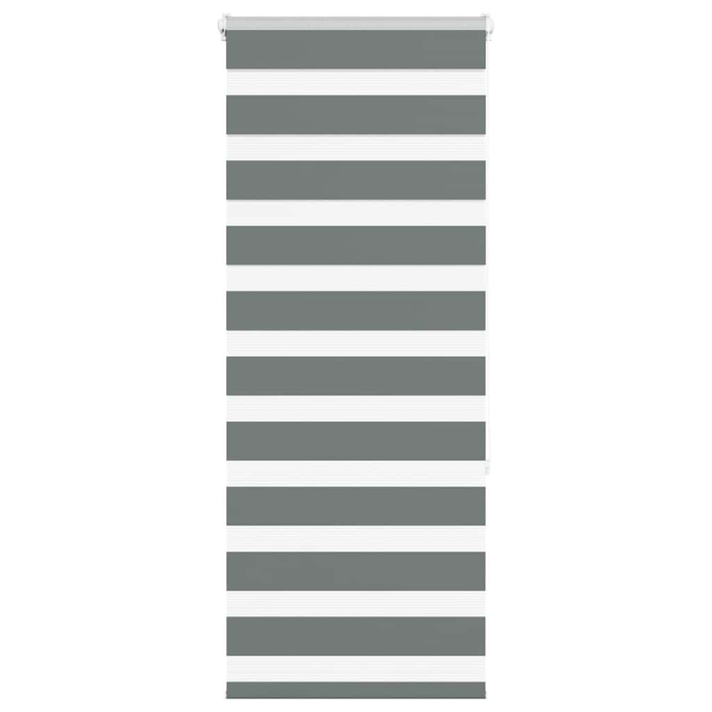 Doppelrollo Dunkelgrau 65x150 cm