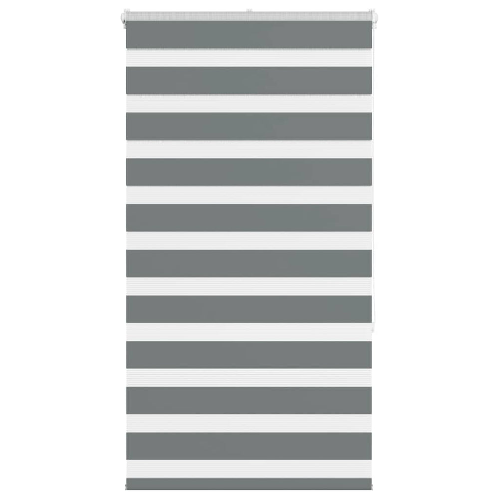 vidaXL Store jour nuit gris foncé 75x150 cm largeur du tissu 70,9 cm polyester