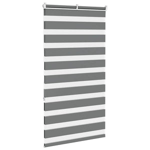 Doppelrollo Dunkelgrau 85x150 cm