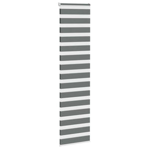 Doppelrollo Dunkelgrau 55x200 cm