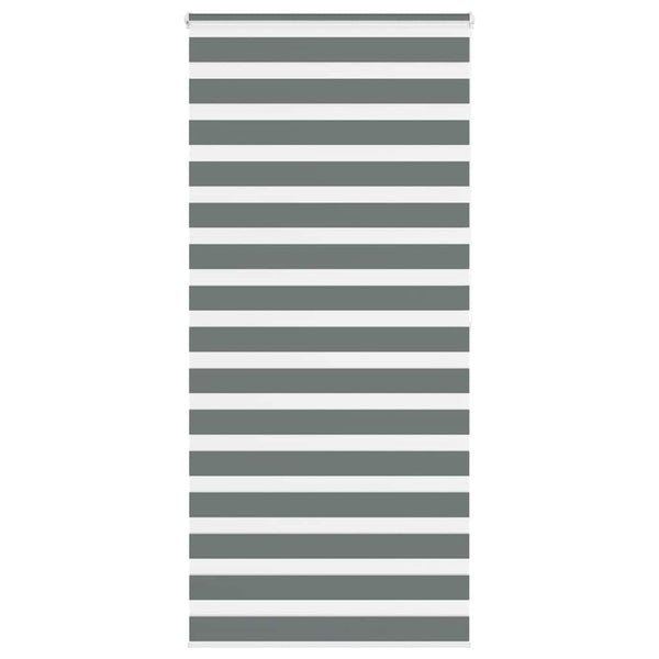 Doppelrollo Dunkelgrau 100x200 cm