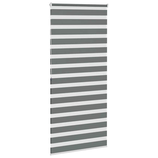 Doppelrollo Dunkelgrau 105x200 cm