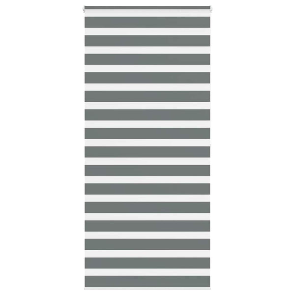 Doppelrollo Dunkelgrau 110x200 cm