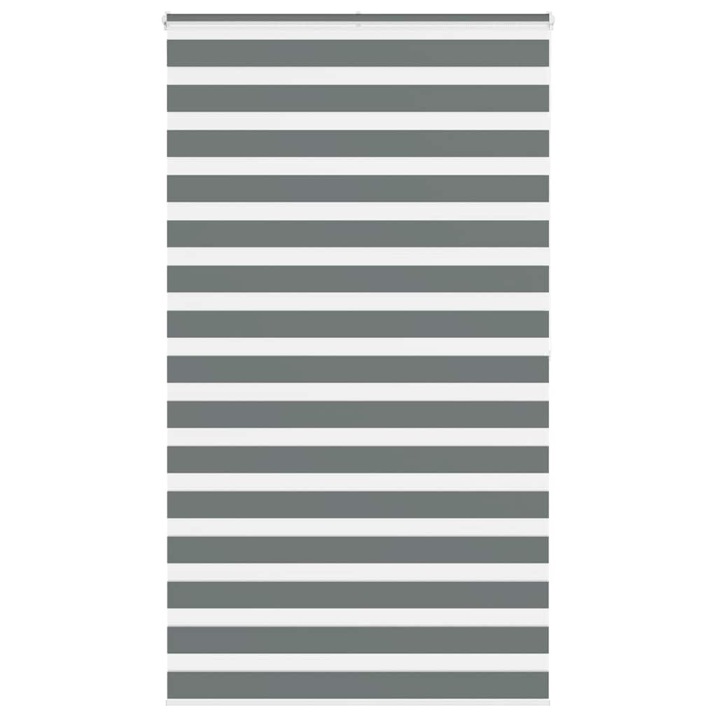 Doppelrollo Dunkelgrau 125x200 cm