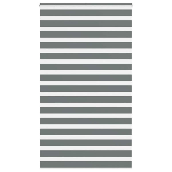 Doppelrollo Dunkelgrau 125x200 cm