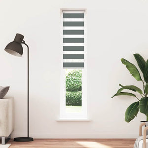 Dunkelgraues Doppelrollo 40x230 cm