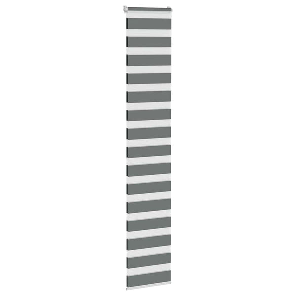 Doppelrollo Dunkelgrau 50x230 cm
