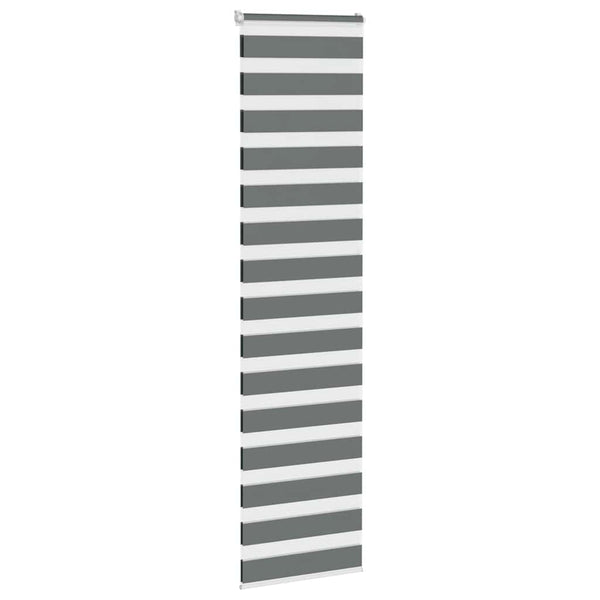 Doppelrollo Dunkelgrau 55x230 cm