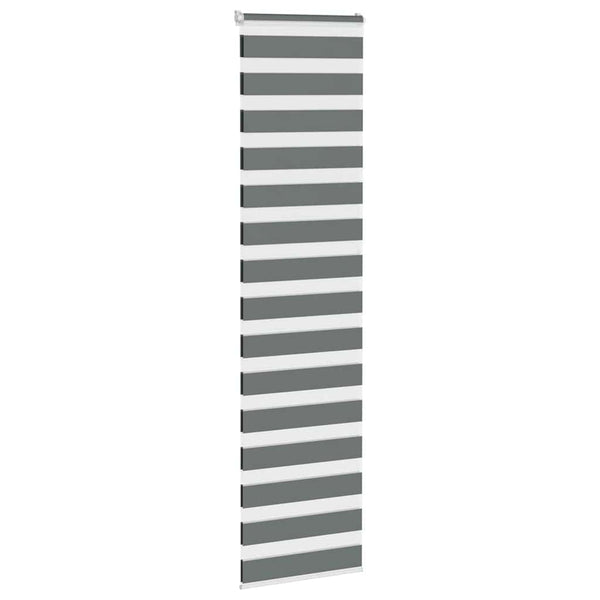 Dunkelgraues Doppelrollo 60x230 cm