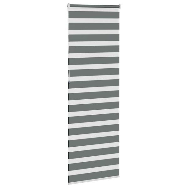 Doppelrollo Dunkelgrau 80x230 cm