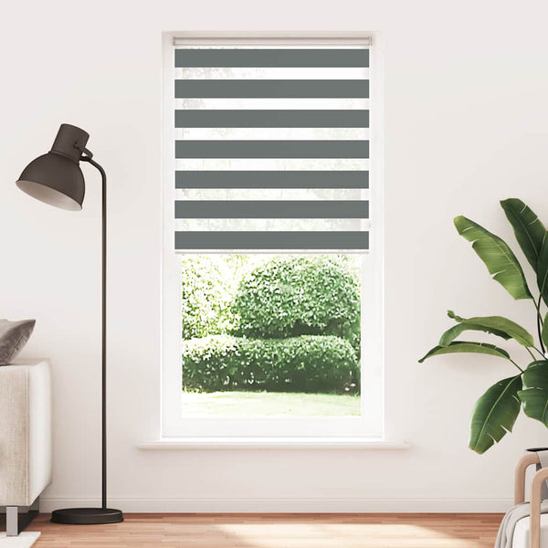 Doppelrollo Dunkelgrau 95x230 cm