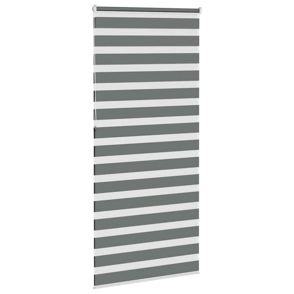Doppelrollo Dunkelgrau 95x230 cm