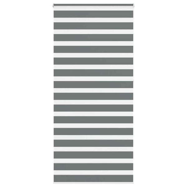 Doppelrollo Dunkelgrau 100x230 cm