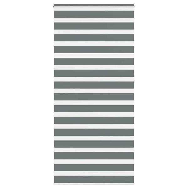 Doppelrollo Dunkelgrau 105x230 cm