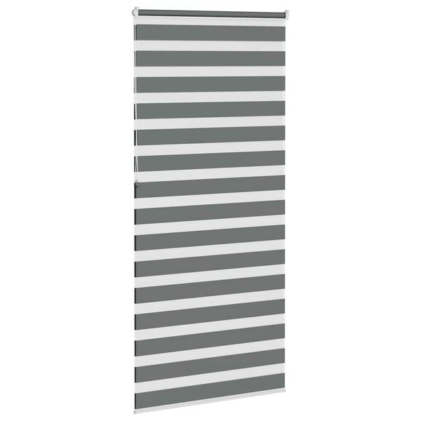 Doppelrollo Dunkelgrau 110x230 cm