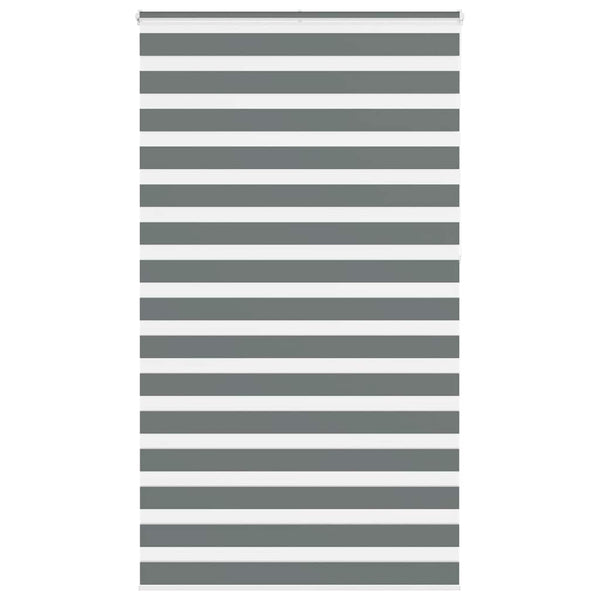 Dunkelgraues Doppelrollo 135x230 cm