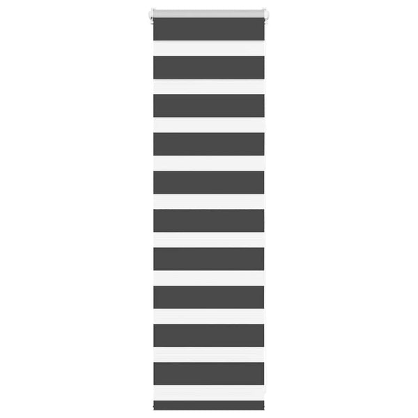 Doppelrollo Schwarz 40x100 cm