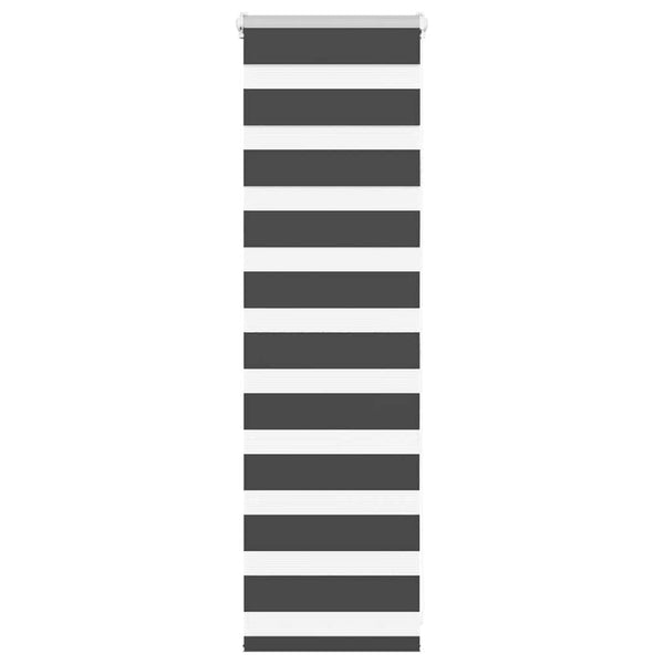 Doppelrollo Schwarz 45x100 cm