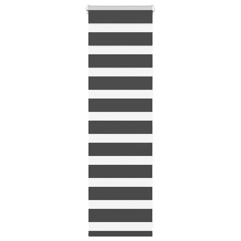 Doppelrollo Schwarz 50x100 cm